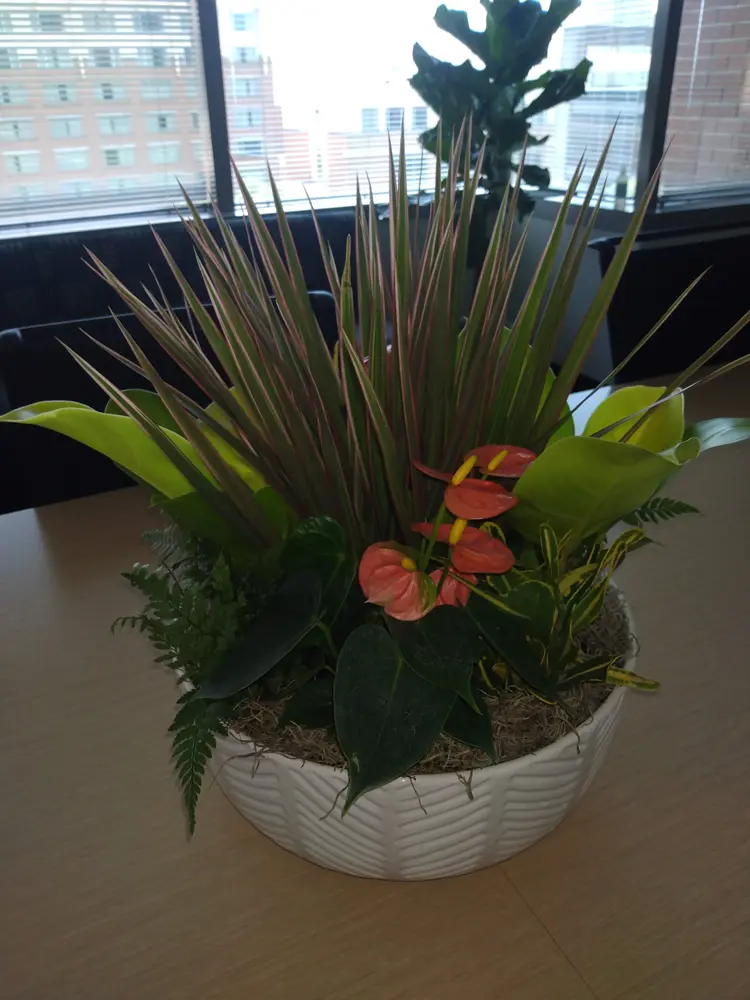 Dish garden centerpiece on a client conference table