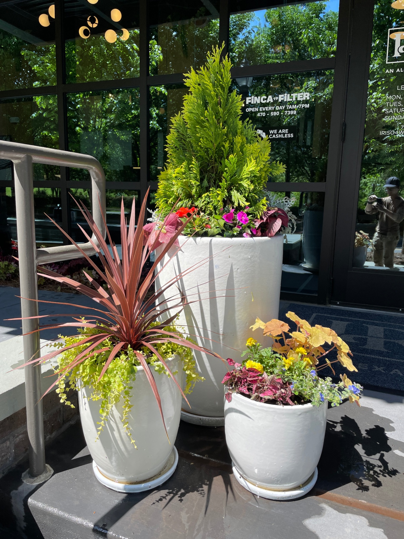 Atlanta Houseplants  Office Plant Design & Biophilic Interior Plantscaping