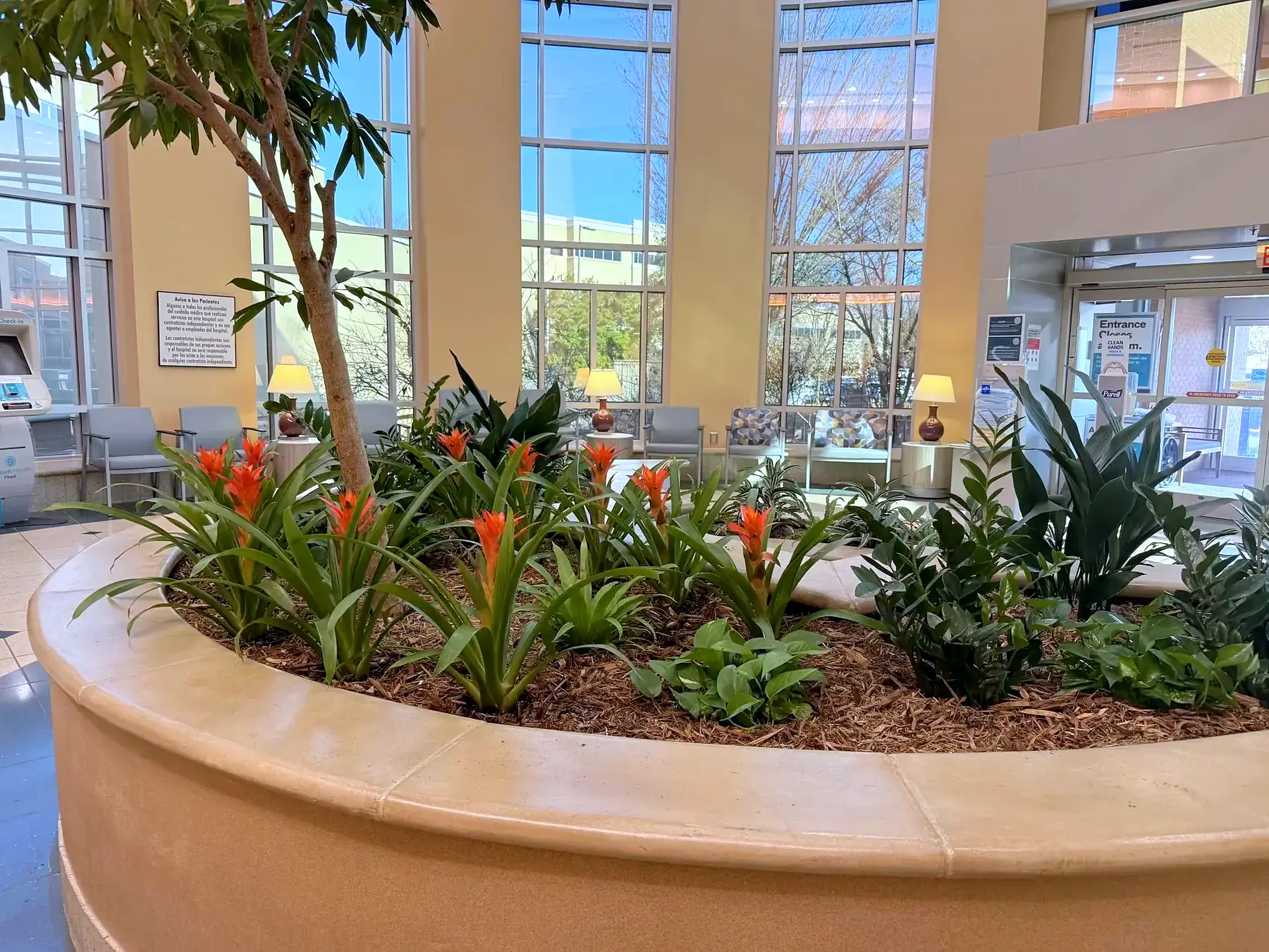Large circular atrium planter of tropical plants and red bromeliads