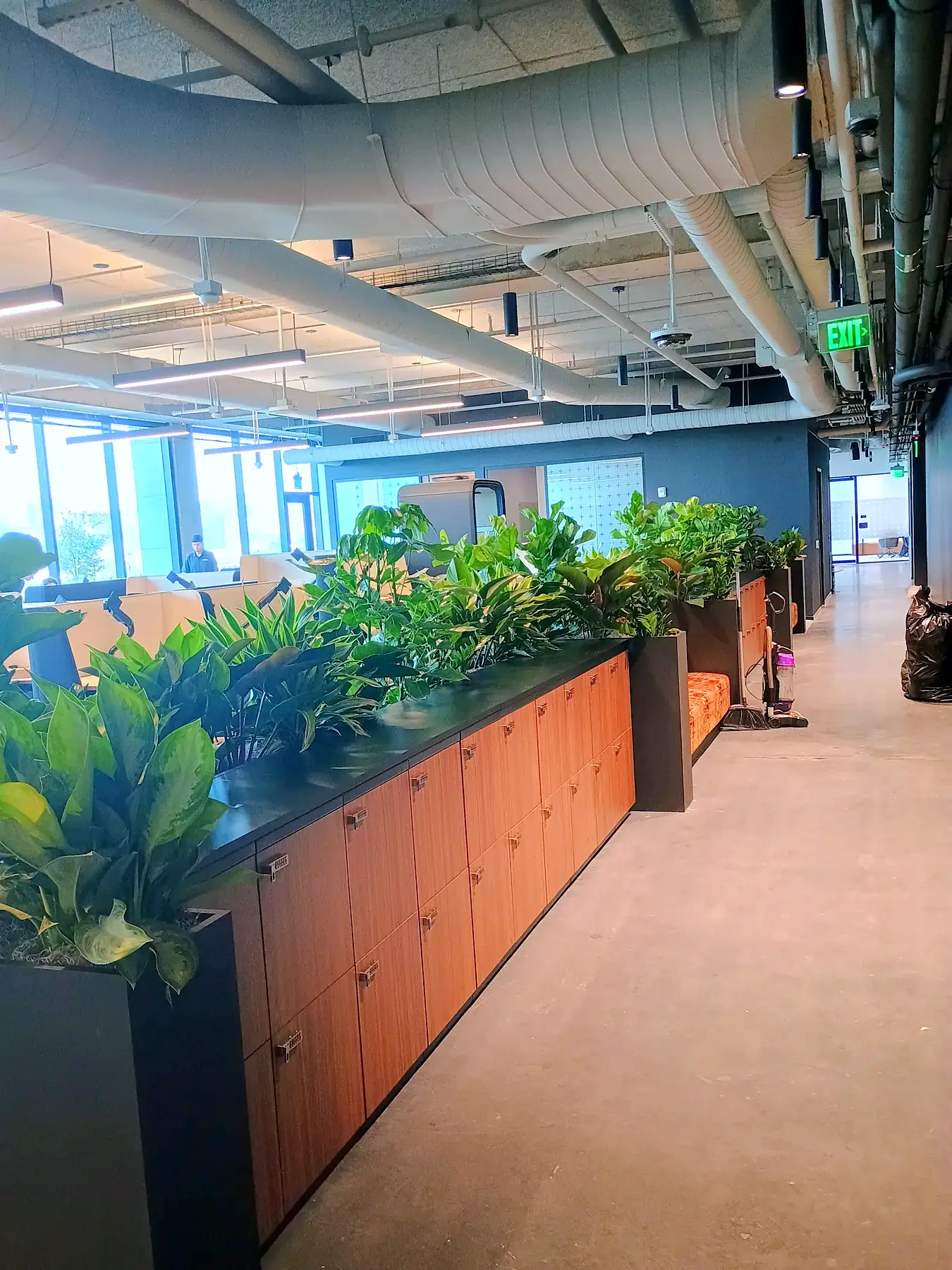 Mixed tropical planter run on cabinetry in a modern open office with an exposed ceiling