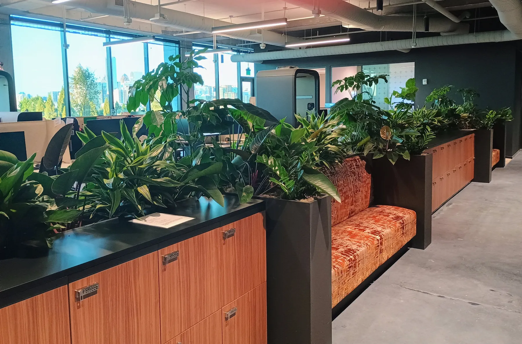 Planter run of mixed tropicals along wood cabinetry and booth seating by office windows