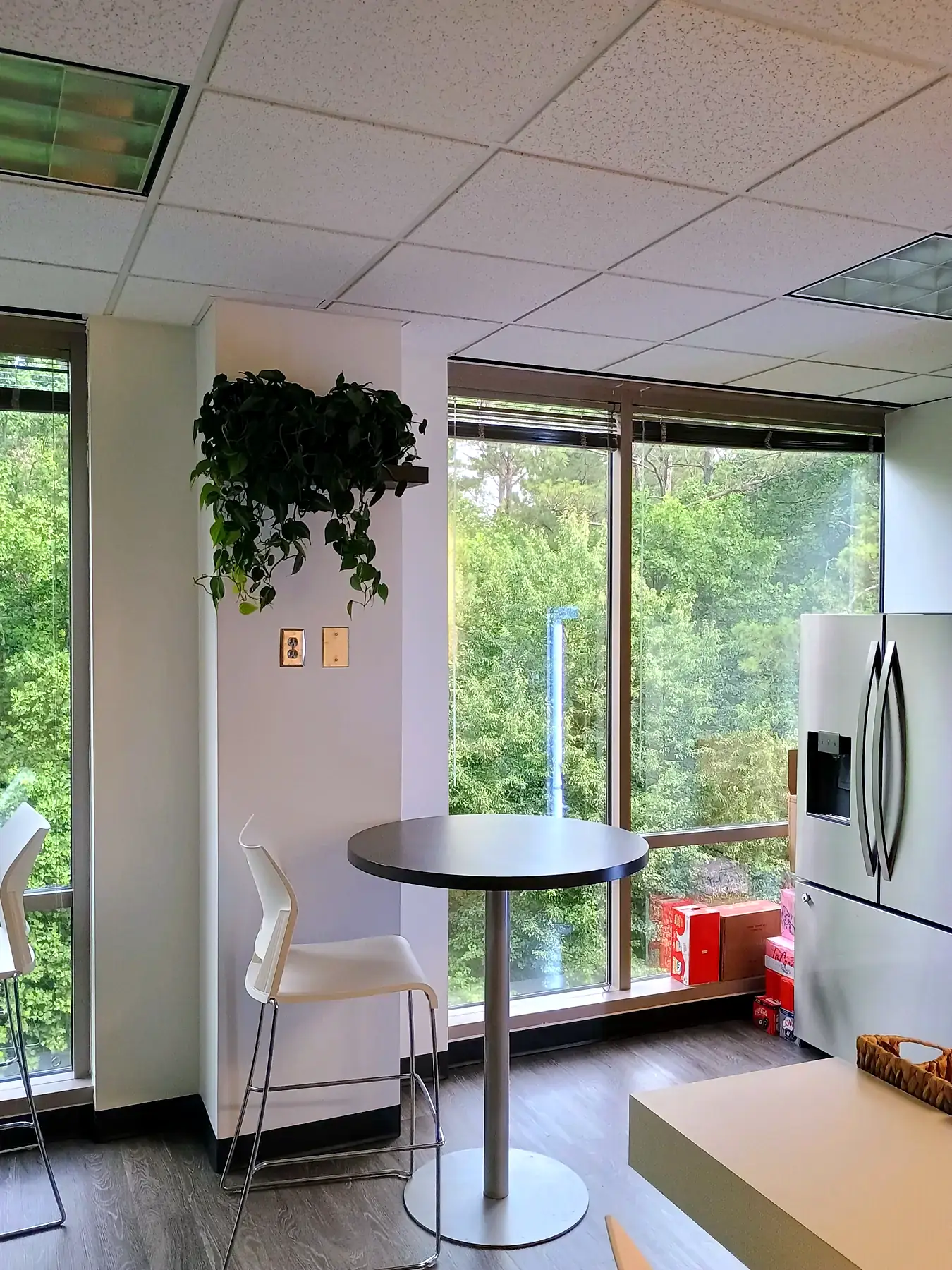 Trailing pothos on a wall shelf beside break-room windows