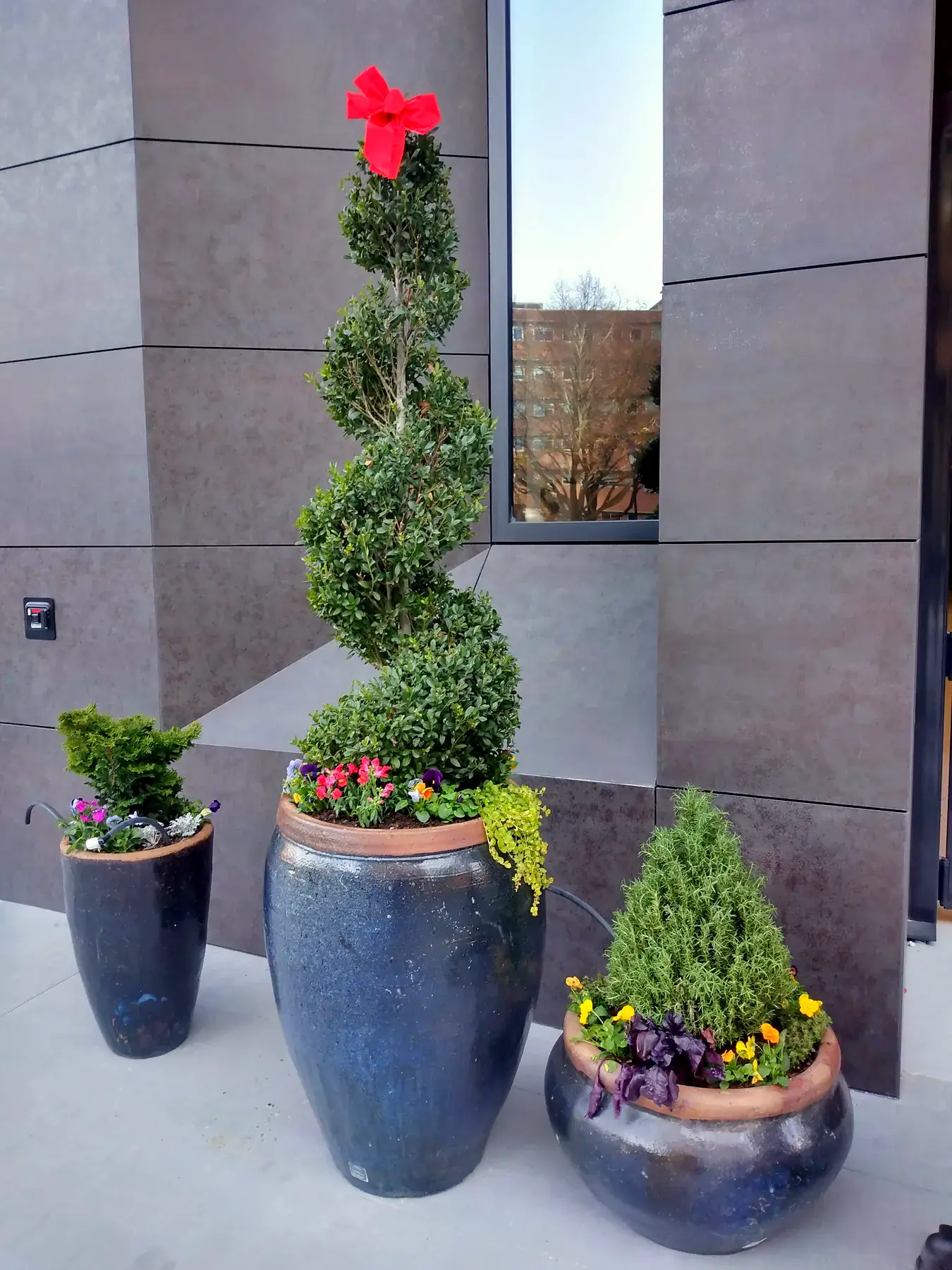 Spiral topiary and seasonal planters at a building entrance